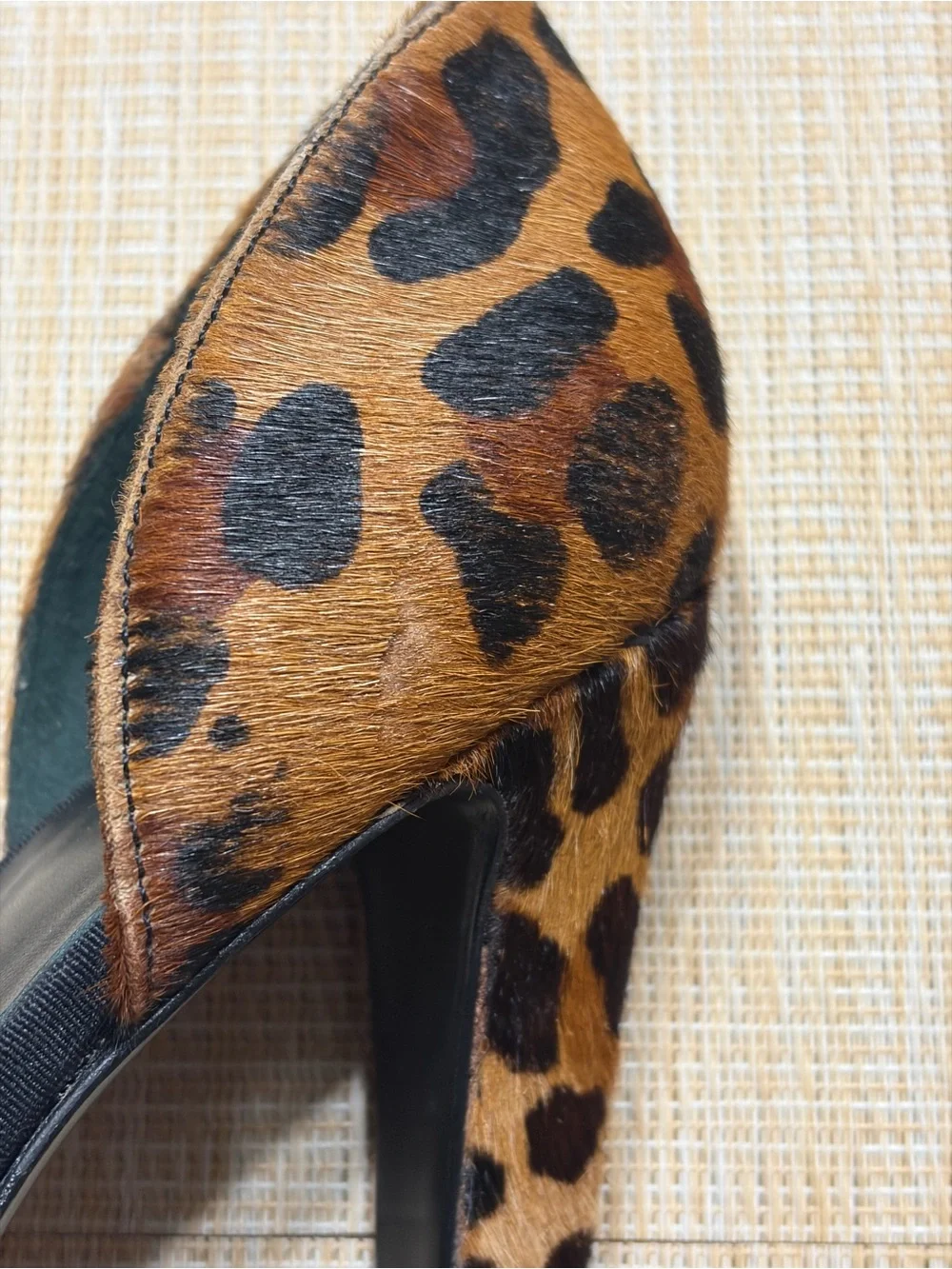 Tory Burch Black Sandals with Leopard Heel Accent